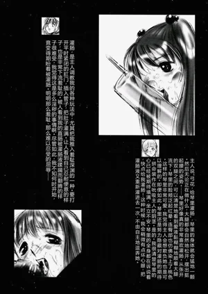 第17页图