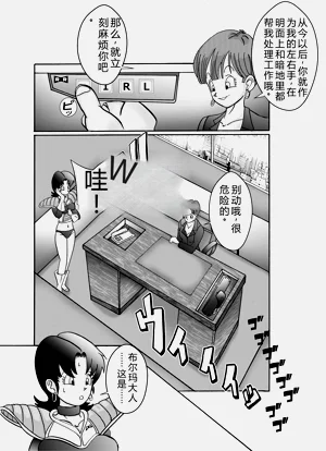第13页图