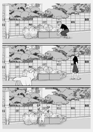 第8页图