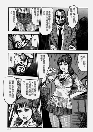 第211页图