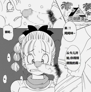 第8页图