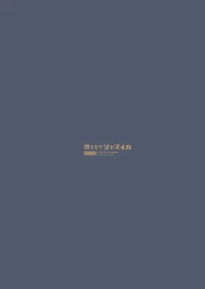 第19页图