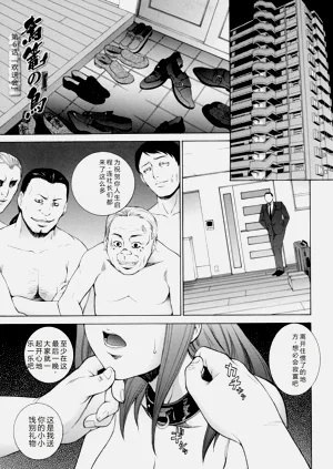 第176页图