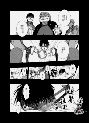 第25页图