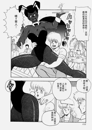 第113页图