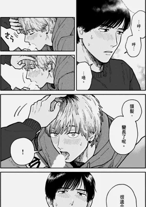 第219页图