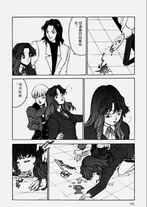 第106页图