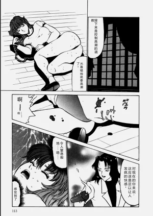 第113页图