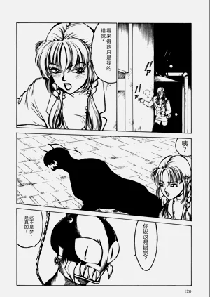 第120页图