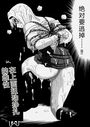 第68頁圖