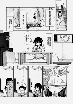 第17页图