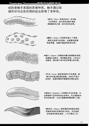 第58页图