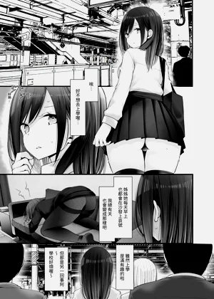 第233頁圖
