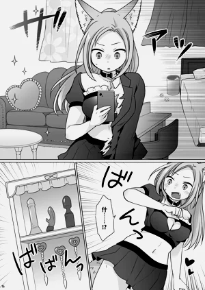 第17页图