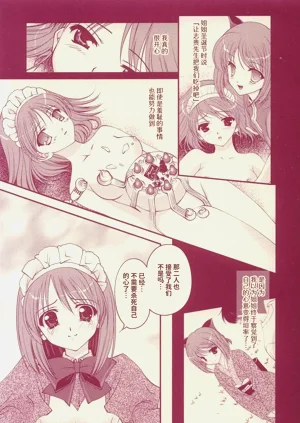 第24页图