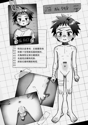 第19页图