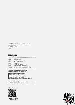 第17页图