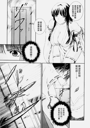 第17页图