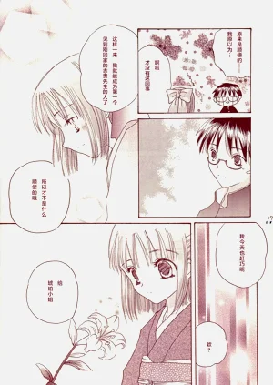 第17页图