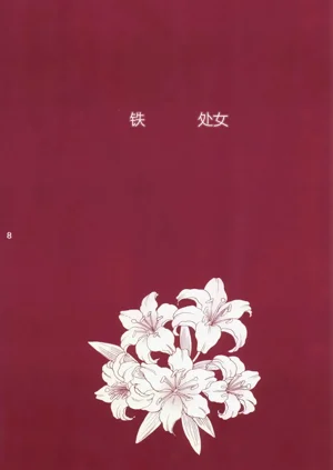 第8页图