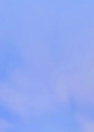第185页图