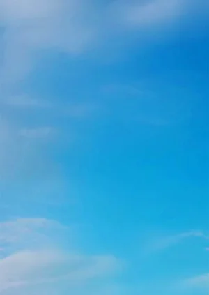 第358页图