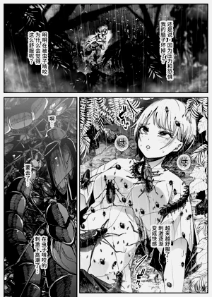 第24页图