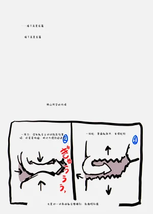 第11页图